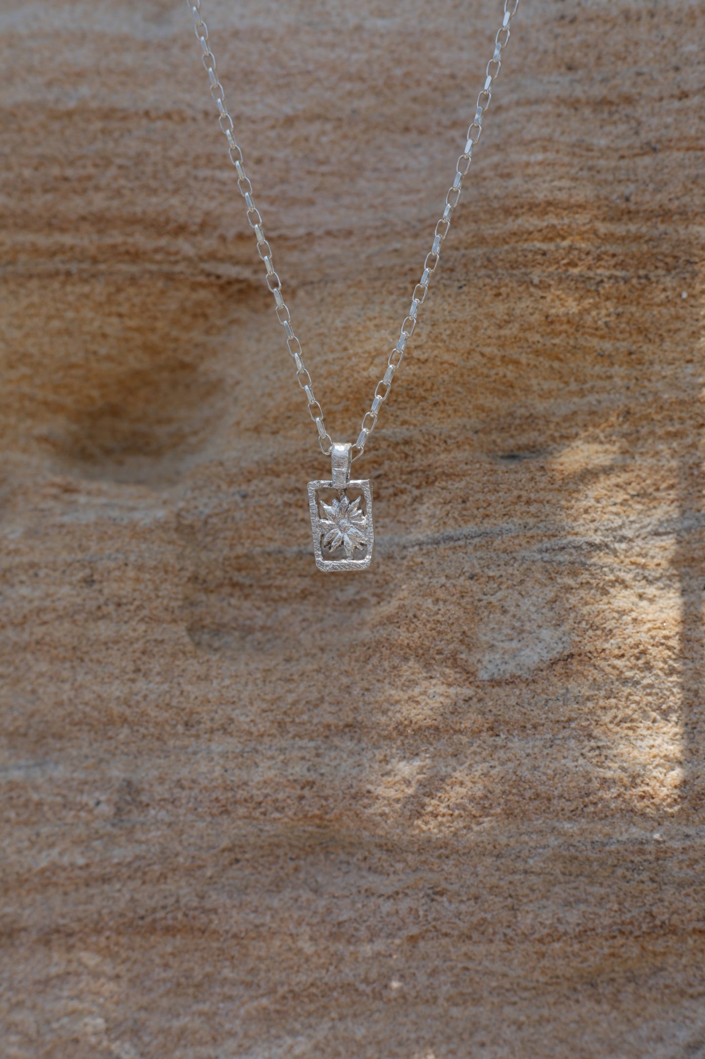 September X Apoma Sunflower