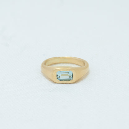 Soft Signet 06