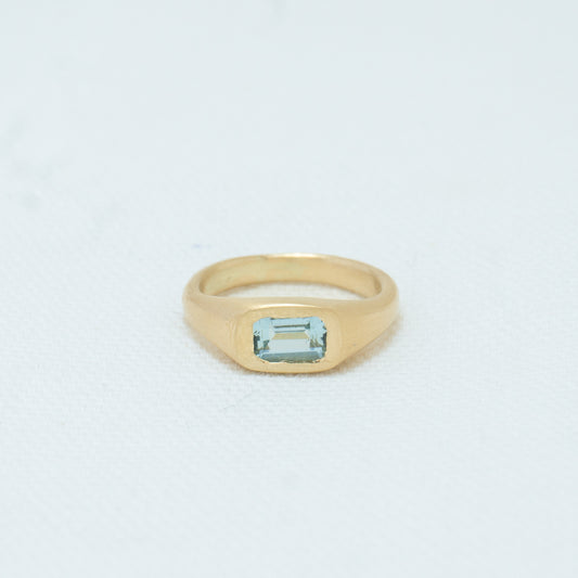 Soft Signet 06