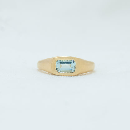 Soft Signet 06