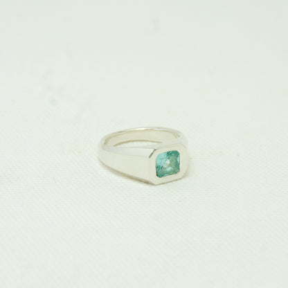 Ascher Signet 03