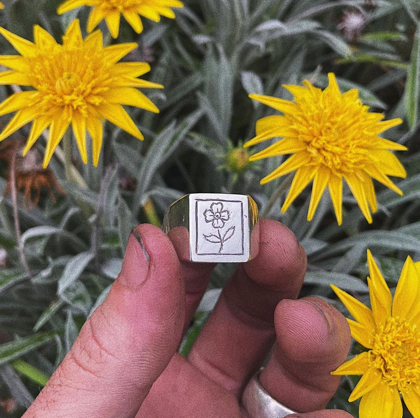 Frame Signet (Custom)